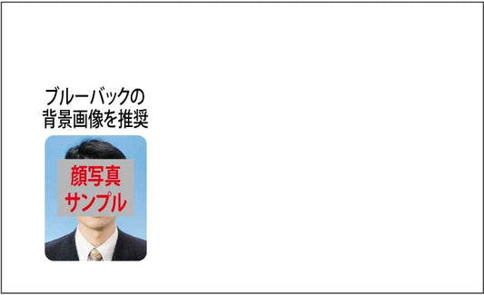 省庁名刺 共通レイアウト ゴシック体 【100枚】
