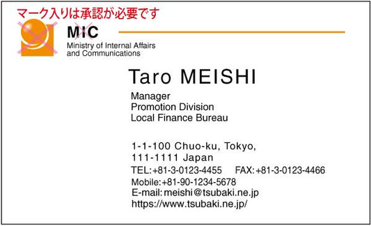 総務省名刺 ゴシック体・カラー表Type2 【100枚】