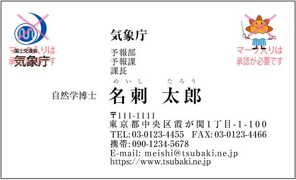 気象庁名刺 明朝体・カラー表Type4 【100枚】